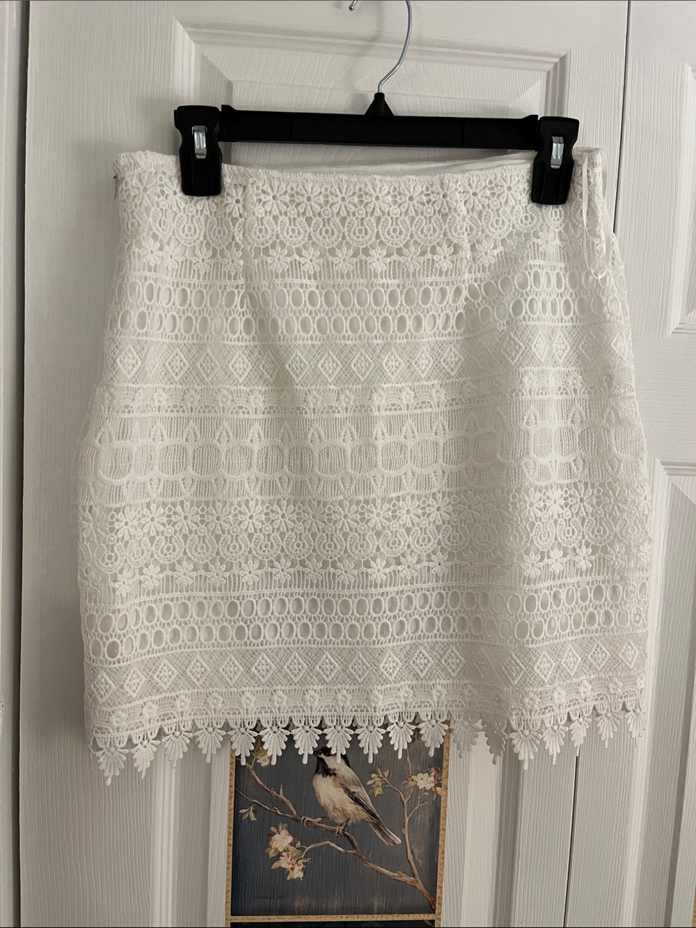 Adiva White Crochet Lace Mini Skirt
